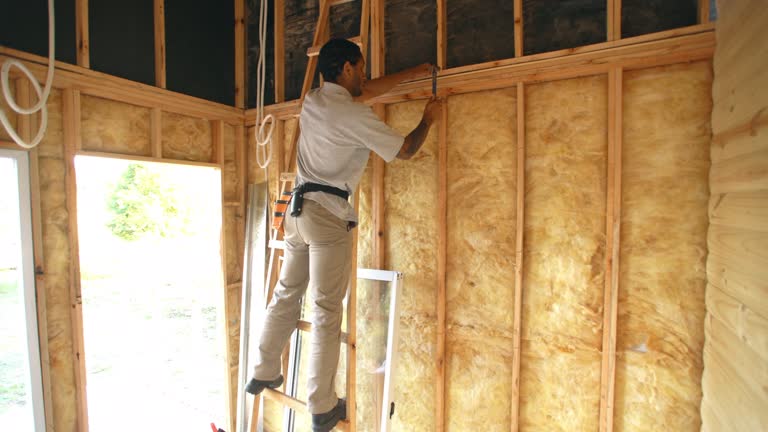 Best Soundproof Insulation  in Buffalo, NY